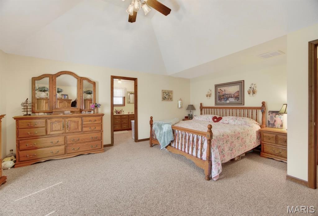 Oak Tree - Residential