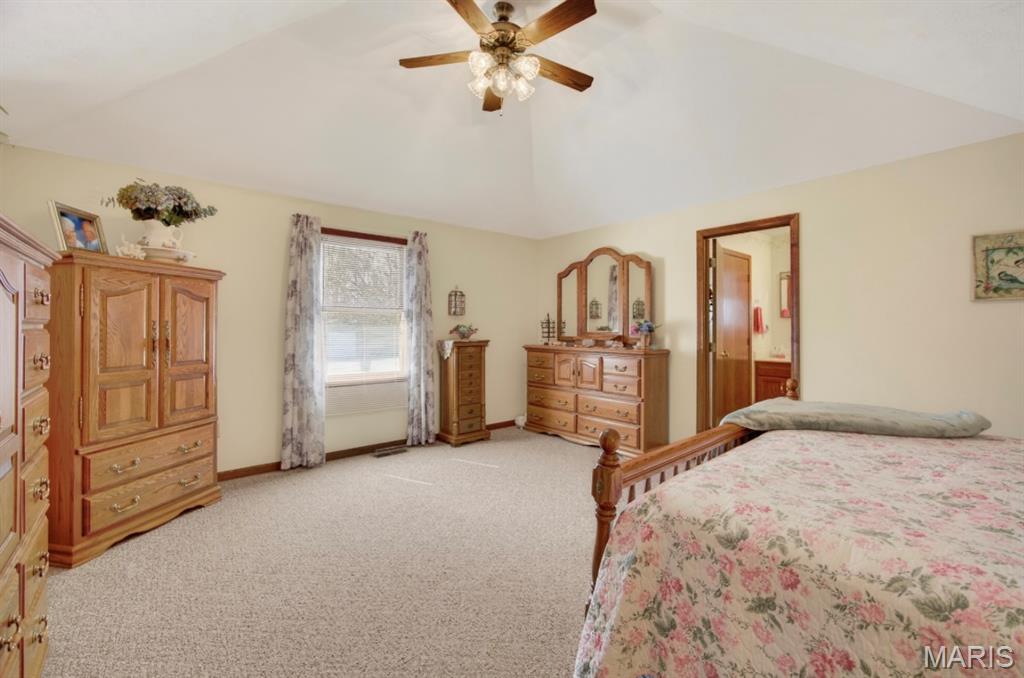 Oak Tree - Residential