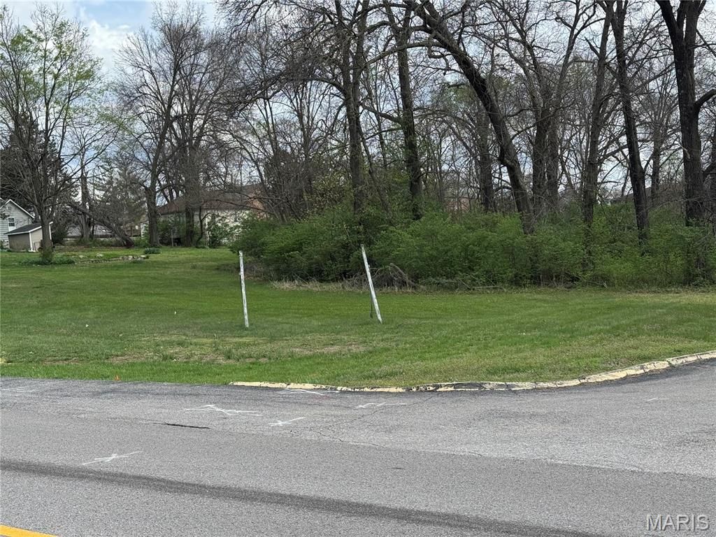 Photo of 250 W 4th Street, Eureka, MO 63025 (MLS # 26019216)