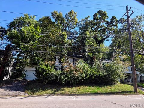 Photo of 1116 S Elm Avenue, Webster Groves, MO 63119 (MLS # 25069320)