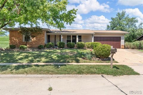 Photo of 11861 Spruce Orchard Drive, Unincorporated, MO 63146 (MLS # 25069644)