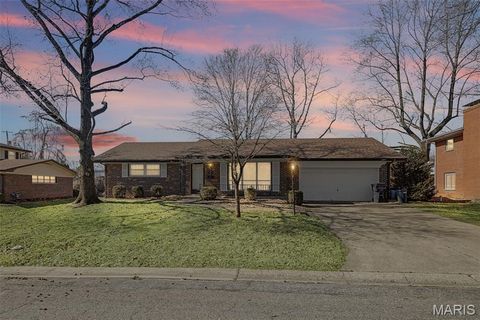 13 Chamberlain Court Belleville IL 62223