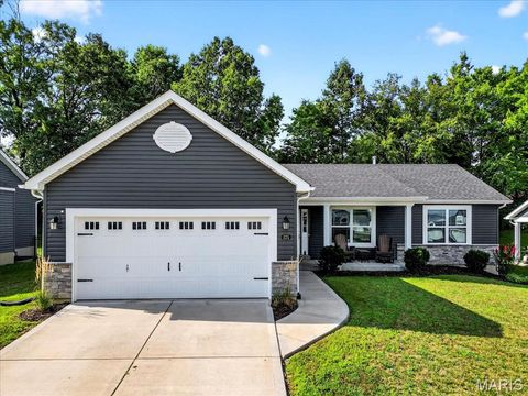 375 Birchwood Drive Moscow Mills MO 63362