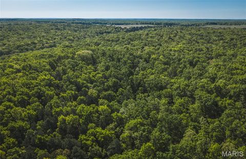 Tiny photo for 113 Gobbler Cove, Lowndes, MO 63951 (MLS # 26024767)