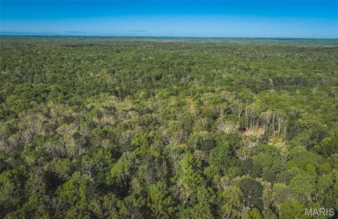 Tiny photo for 113 Gobbler Cove, Lowndes, MO 63951 (MLS # 26024767)