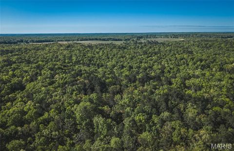 Tiny photo for 113 Gobbler Cove, Lowndes, MO 63951 (MLS # 26024767)