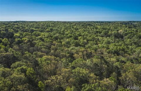 Tiny photo for 113 Gobbler Cove, Lowndes, MO 63951 (MLS # 26024767)