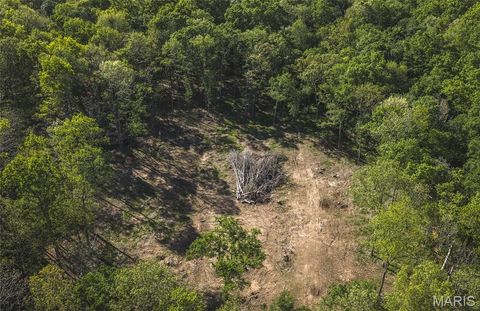 Tiny photo for 113 Gobbler Cove, Lowndes, MO 63951 (MLS # 26024767)