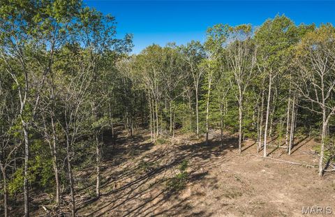 Tiny photo for 113 Gobbler Cove, Lowndes, MO 63951 (MLS # 26024767)