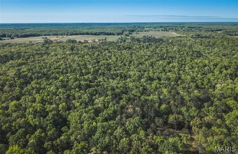 Tiny photo for 113 Gobbler Cove, Lowndes, MO 63951 (MLS # 26024767)