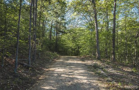 Tiny photo for 113 Gobbler Cove, Lowndes, MO 63951 (MLS # 26024767)