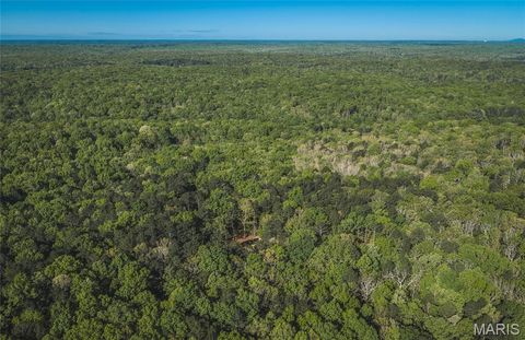 Tiny photo for 113 Gobbler Cove, Lowndes, MO 63951 (MLS # 26024767)