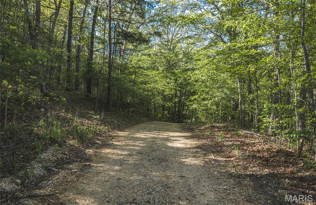 Turkey Creek - Farm