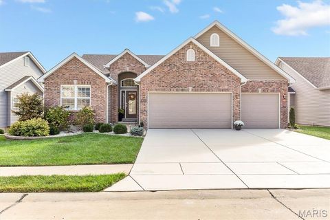 435 Amber Lake Court Imperial MO 63052