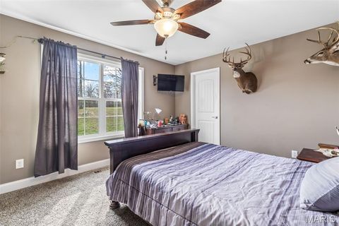 Tiny photo for 4095 Saddle Wood Road, De Soto, MO 63020 (MLS # 26018610)