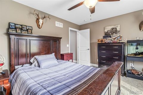 Tiny photo for 4095 Saddle Wood Road, De Soto, MO 63020 (MLS # 26018610)