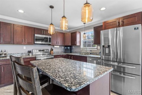 Tiny photo for 4095 Saddle Wood Road, De Soto, MO 63020 (MLS # 26018610)