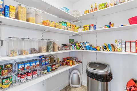 Tiny photo for 4095 Saddle Wood Road, De Soto, MO 63020 (MLS # 26018610)