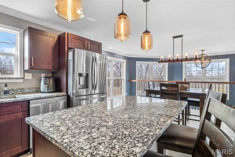 Tiny photo for 4095 Saddle Wood Road, De Soto, MO 63020 (MLS # 26018610)