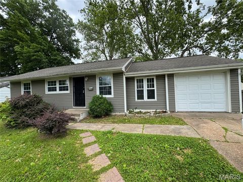 Photo of 9838 Monarch Drive, St Louis, MO 63136 (MLS # 25072087)