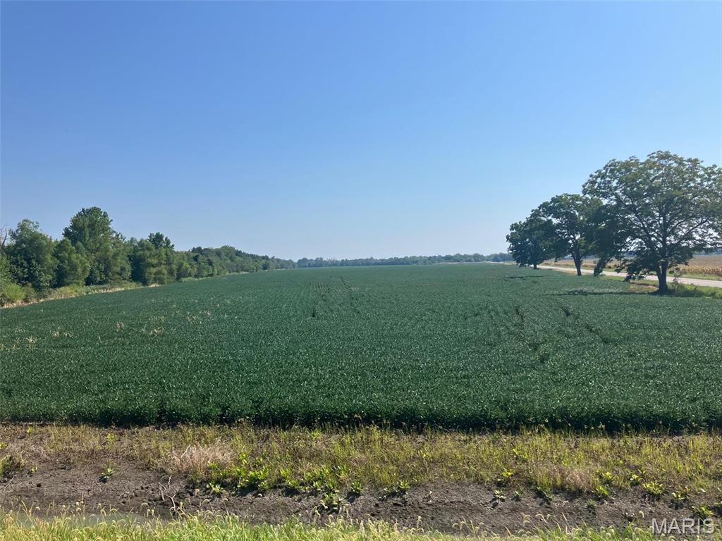 Newport Meadows Future Dev - Farm