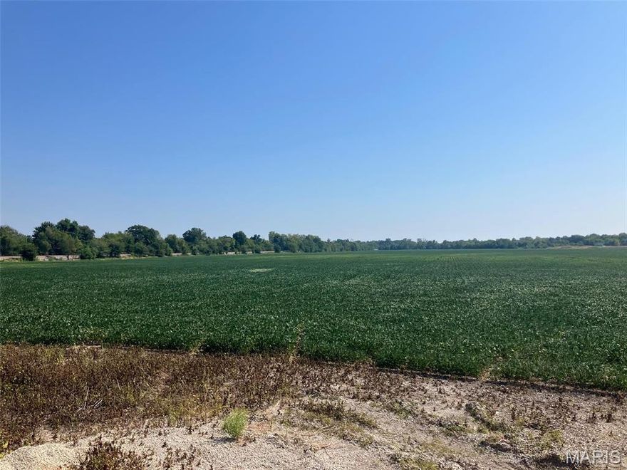 102.08 +/- Acres of raw ground. Perfect for farming or duck hunting/duck club (flood plain). 4 parcels make up the full 102 acres. Sellers just had a survey done on it within the past year. Most of the ground has frontage to Hwy B.