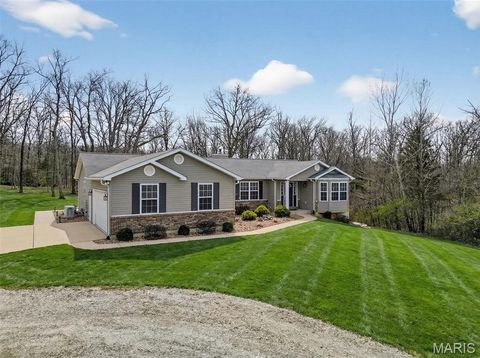 Photo of 610 W Highway N Hwy, Wentzville, MO 63385 (MLS # 26015932)