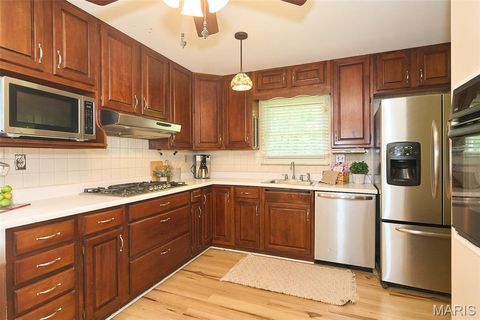 Tiny photo for 449 Wildwood Parkway, Ballwin, MO 63011 (MLS # 25067106)