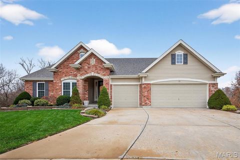 32 Carlton Lake Court Wentzville MO 63385
