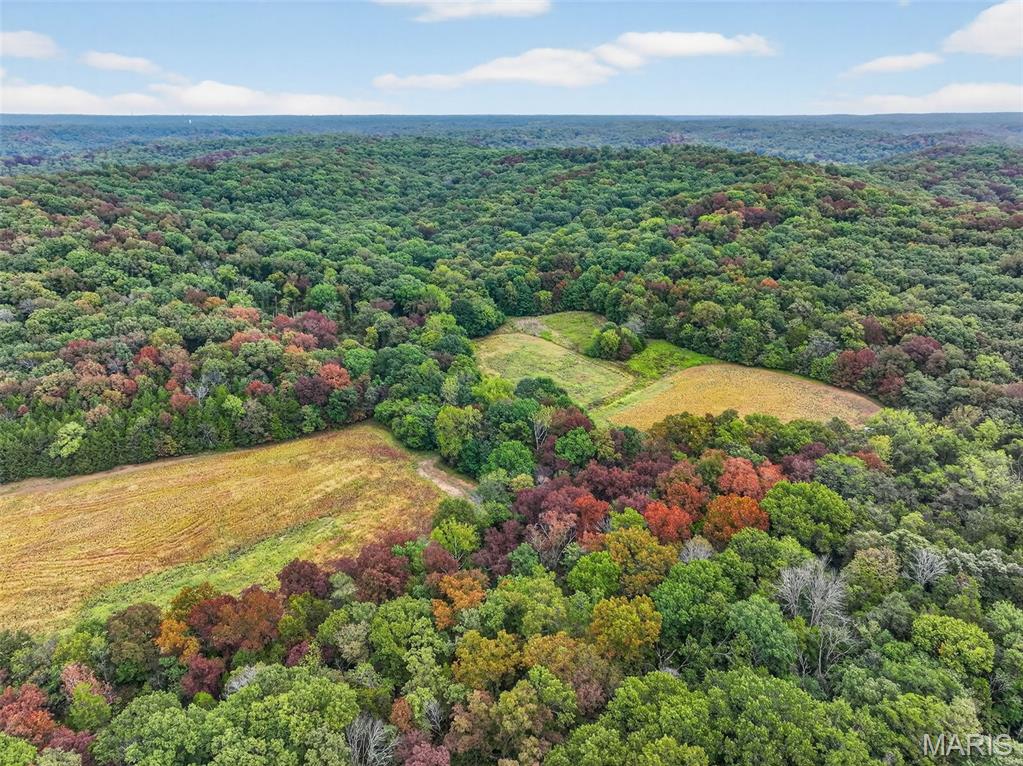 10+/-AC Lot2 Circle Acres Drive