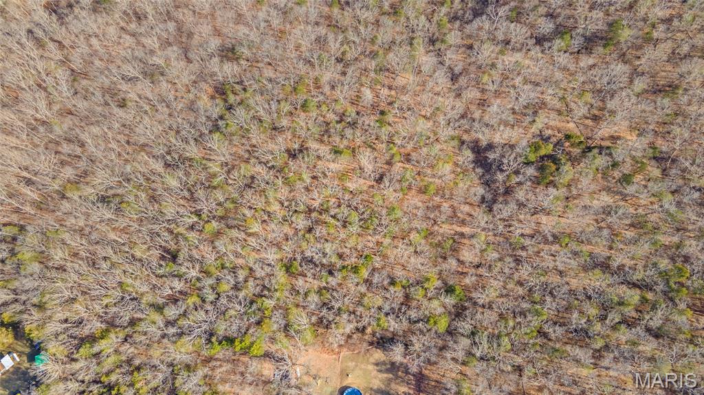 Bluebird Hills - Land