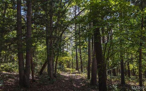 Tiny photo for 17197 Maries Road 318, Vienna, MO 65582 (MLS # 26037202)