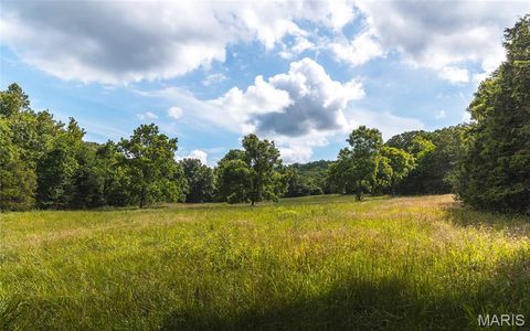 Tiny photo for 17197 Maries Road 318, Vienna, MO 65582 (MLS # 26037202)