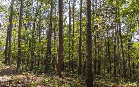Tiny photo for 17197 Maries Road 318, Vienna, MO 65582 (MLS # 26037202)