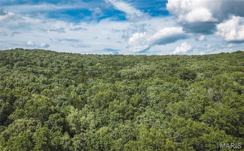 Tiny photo for 17197 Maries Road 318, Vienna, MO 65582 (MLS # 26037202)
