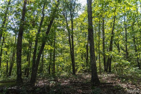 Tiny photo for 17197 Maries Road 318, Vienna, MO 65582 (MLS # 26037202)