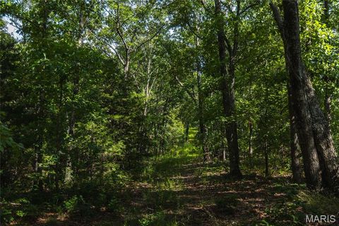 Tiny photo for 17197 Maries Road 318, Vienna, MO 65582 (MLS # 26037202)