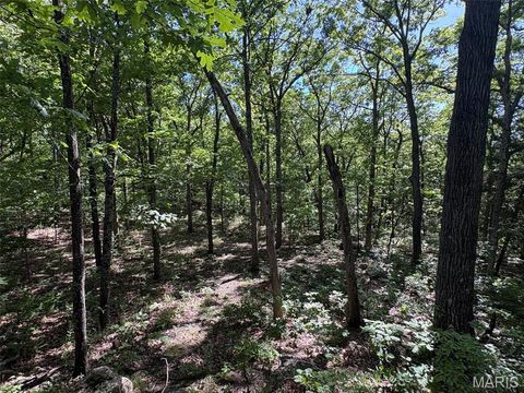 Tiny photo for 1693 S Highway 19, Hermann, MO 65041 (MLS # 26030744)