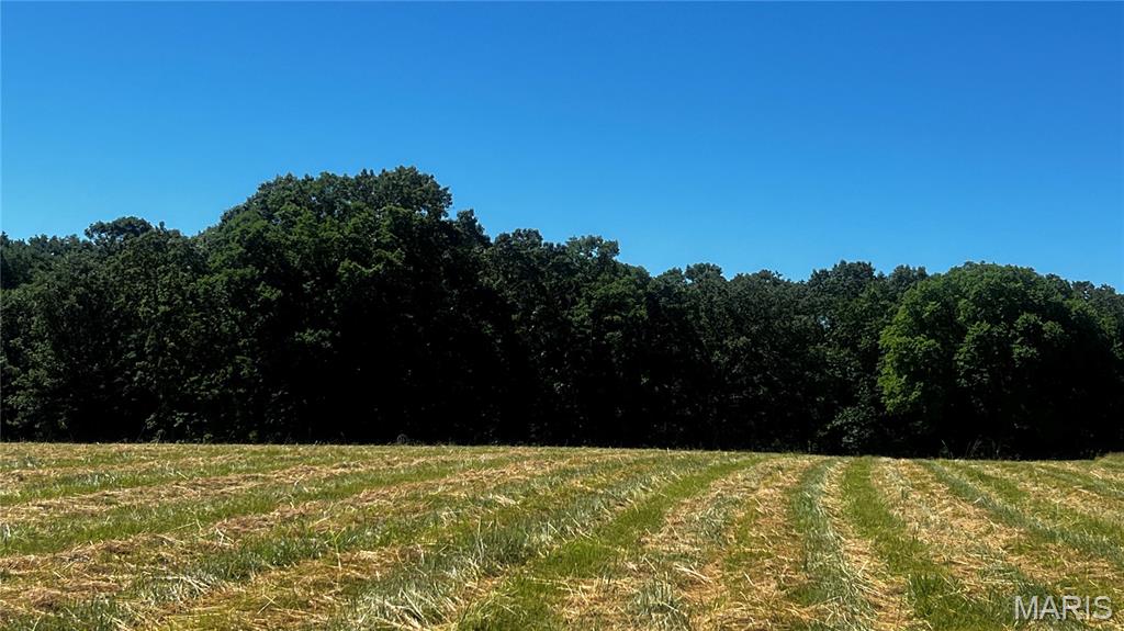 Photo of 0 S. Mill Creek Rd (17 Acres *See Exhibit A*), New Florence, MO 63363 (MLS # 26036878)
