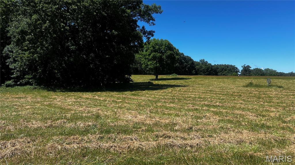 Photo of 0 S. Mill Creek Rd (17 Acres *See Exhibit A*), New Florence, MO 63363 (MLS # 26036878)