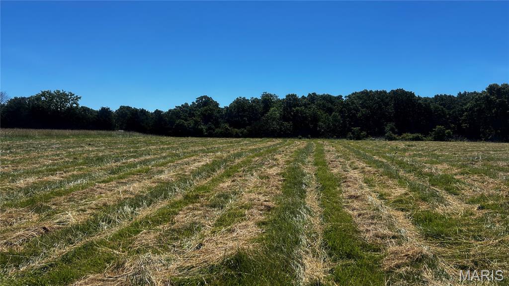 Photo of 0 S. Mill Creek Rd (17 Acres *See Exhibit A*), New Florence, MO 63363 (MLS # 26036878)