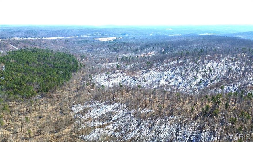 Recreational acreage offering the freedom buyers are looking for — no restrictions and no HOA. This property features deeded access to private 12 Mile Creek, providing excellent opportunities for recreation, and enjoying the outdoors. Electric is available in most areas, not yet to this piece of land, making future improvements or off-grid setups more convenient. Property does have road access.

Located south of Fredericktown and just 1 mile from Mark Twain National Forest, this land offers quick access to thousands of acres of public ground for hunting, hiking, and exploring. The area is well known for abundant wildlife, making it ideal for hunting, camping, or a weekend getaway. Whether you’re looking to build a homestead, set up a hunting base, or simply own unrestricted land, this property offers endless possibilities.

Annual road maintenance dues are approximately $200. Don’t miss the opportunity to own a piece of land designed for recreation, privacy, and long-term enjoyment.