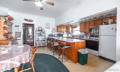 Tiny photo for 250 Wayne 324, Patterson, MO 63956 (MLS # 26025029)