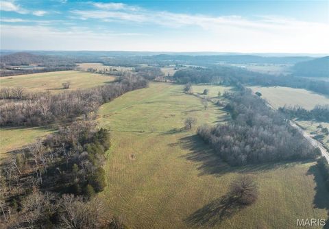 Tiny photo for 250 Wayne 324, Patterson, MO 63956 (MLS # 26025029)