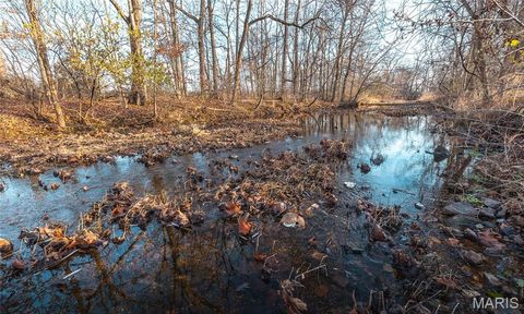 Tiny photo for 250 Wayne 324, Patterson, MO 63956 (MLS # 26025029)