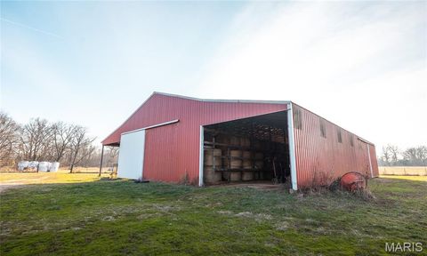 Tiny photo for 250 Wayne 324, Patterson, MO 63956 (MLS # 26025029)