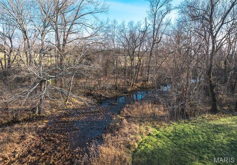 Tiny photo for 250 Wayne 324, Patterson, MO 63956 (MLS # 26025029)