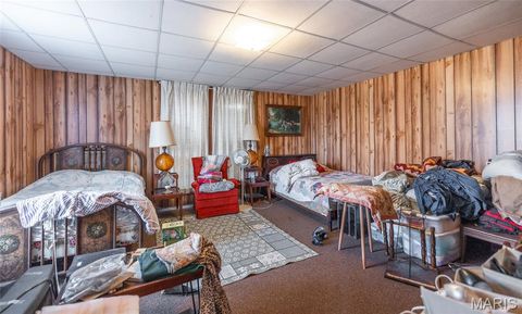 Tiny photo for 250 Wayne 324, Patterson, MO 63956 (MLS # 26025029)