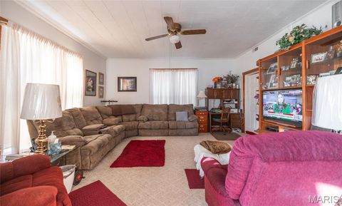 Tiny photo for 250 Wayne 324, Patterson, MO 63956 (MLS # 26025029)