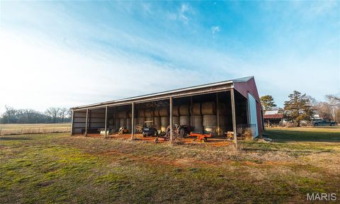 Tiny photo for 250 Wayne 324, Patterson, MO 63956 (MLS # 26025029)